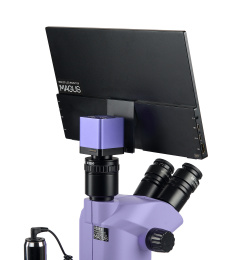 Микроскоп стереоскопический цифровой MAGUS Stereo D8T LCD BASE