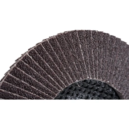 Круг лепестковый (125х22,2 мм; P80) Inforce 11-01-040