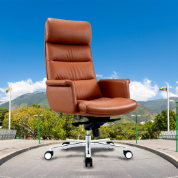 Кресло руководителя Cactus CS-LBR-CARACAS коричневый сиденье коричневый кожа крестов. алюминий