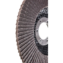 Круг лепестковый (125х22,2 мм; P120) Inforce 11-01-041