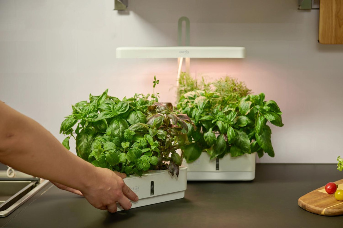 Гидропонная установка Cactus Garden 3л 20 белый (CS-LEDPOT-08)