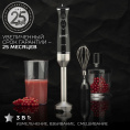 Блендер Scarlett Silver Line SC-HB42F73, погружной, черный