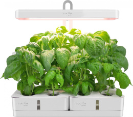 Гидропонная установка Cactus Garden 3л 20 белый (CS-LEDPOT-08)