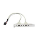 Bion планка портов 2xUSB2.0, 30 см [BXP-MB-2USB]
