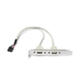Bion планка портов 2xUSB2.0, 30 см [BXP-MB-2USB]