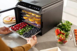 Сушка для фруктов и овощей Gorenje FDK600DB 5под. 600Вт черный