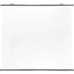 Экран Cactus Map type CS-PSRM-150x150-BK,  150х150 см, 1:1,  настенно-потолочный черный