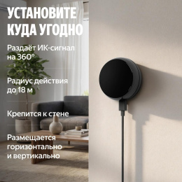 Умный пульт ЯНДЕКС YNDX-00572, р.д.20м, черный