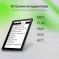 Электронная книга Digma F4, 5.83", черный