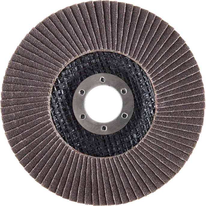 Круг лепестковый (125х22,2 мм; P120) Inforce 11-01-041