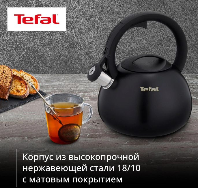 Чайник металлический Tefal Intuition N4180417 2.5л. черный 3110601825