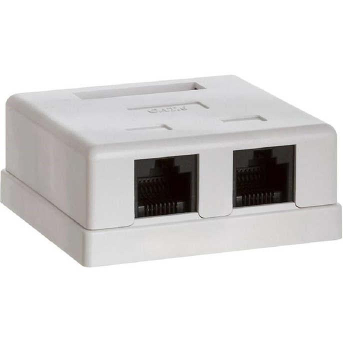 Bion Внешняя сетевая розетка BXP-ENS-C5E-2P-1 RJ-45 cat. 5e, 2 порта, 110&amp;Krone