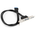 Планка портов в корпус 2xUSB3.0 ExeGate BrctUSB3-2A (USB 3.0 20pin (IDC 20pin F) --> 2x USB 3.0 Af, кабель 45см) EX298295RUS