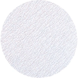 Диск шлифовальный KP14D (10 шт; 125 мм; P60; Velcro) БАЗ 960000141893