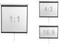 Экран настенный Digis DSOD-4302, формат 4:3, 86" (178x139), MW )