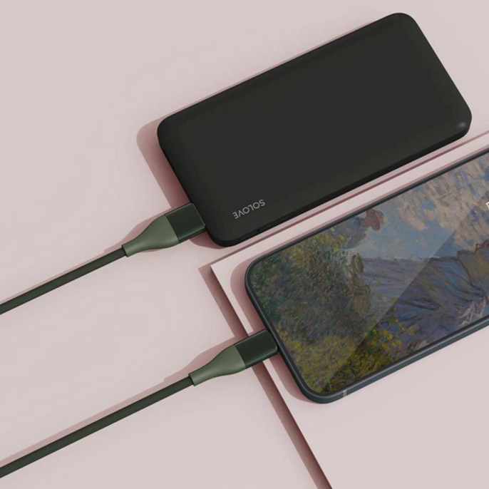 Кабель ZMI DW3,  USB Type-C (m) -  USB Type-C (m),  1м,  зеленый [dw3 green rus]