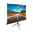 Напольный рулонный экран Cactus TriExpert 1:1, 160x160 см, черный CS-PSTE-160X160-BK 1019816