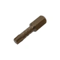 Биты торсионные антислип TORX (10 шт; Т25; 25 мм) SKRAB 43831